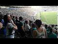 Palmeiras palmeiras palmeiras