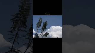 Pin by Atif-Fareed on Pins by you | Pretty lyrics, Good music quotes, Good vibe songs