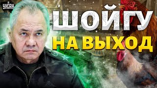 ЧИСТКИ в курятнике МО РФ. Шойгу - НА ВЫХОД. Белоусов обречен. НОВЫЙ хозяин Кремля / Мурзагулов