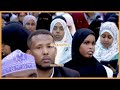 Jiritaankeena umad ahaan 20 sanno kabacdi sidee ayu noqonaya ?