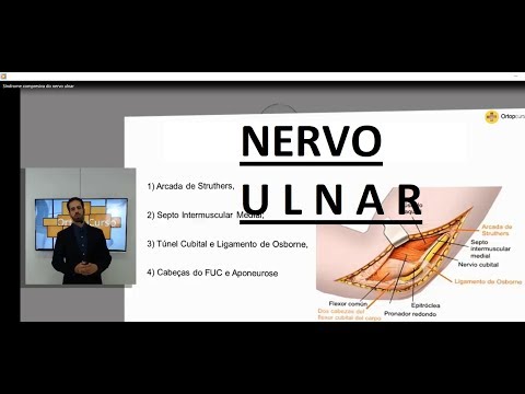 Vídeo: Paralisia Do Nervo Ulnar (disfunção): Sintomas, Causas E Tratamento