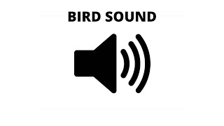 Sweet Bird Sound - Morning Sound Effect  Garden Bird