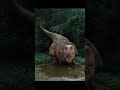 Most Dangerous Animals