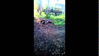 Война видео Украина Донбас Российский спецназовец опубликовал видео боя в Марьинке YouTube Война видео Украина Донбас Российский спецназовец опубликовал видео боя в Марьинке YouTube