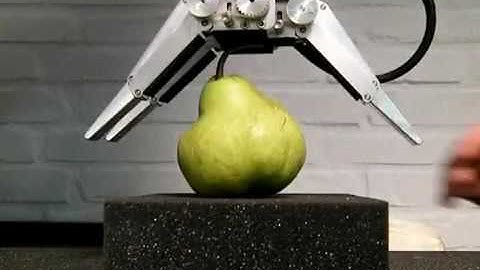 Robot agrifood  Rolan Robotics BV