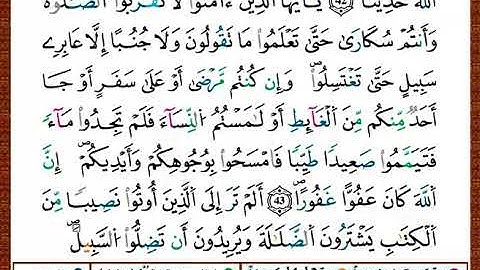 ختمة مصحف التجويد برواية قالون الصفحة رقم 85