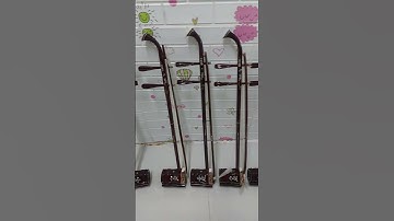 Nơi Bán đàn hồ tại quận gò vấp, bán nhạc cụ dân tộc tại quận 12