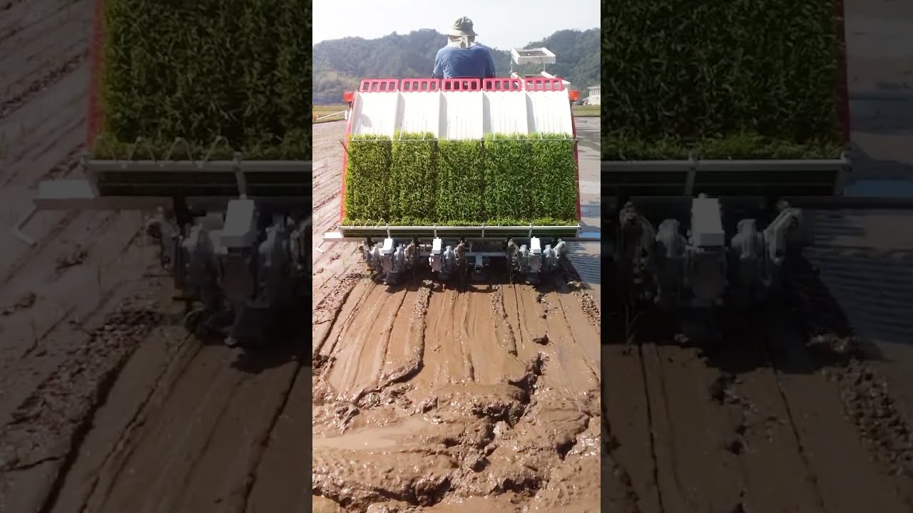 充実装備｜Rice transplanter LC41｜田植機｜製品情報｜製品紹介