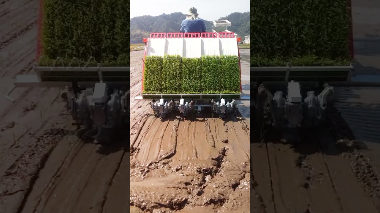 ペースト施肥田植機｜三菱マヒンドラ農機