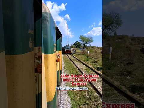 Awam Express meets Awam Express #viralshorts