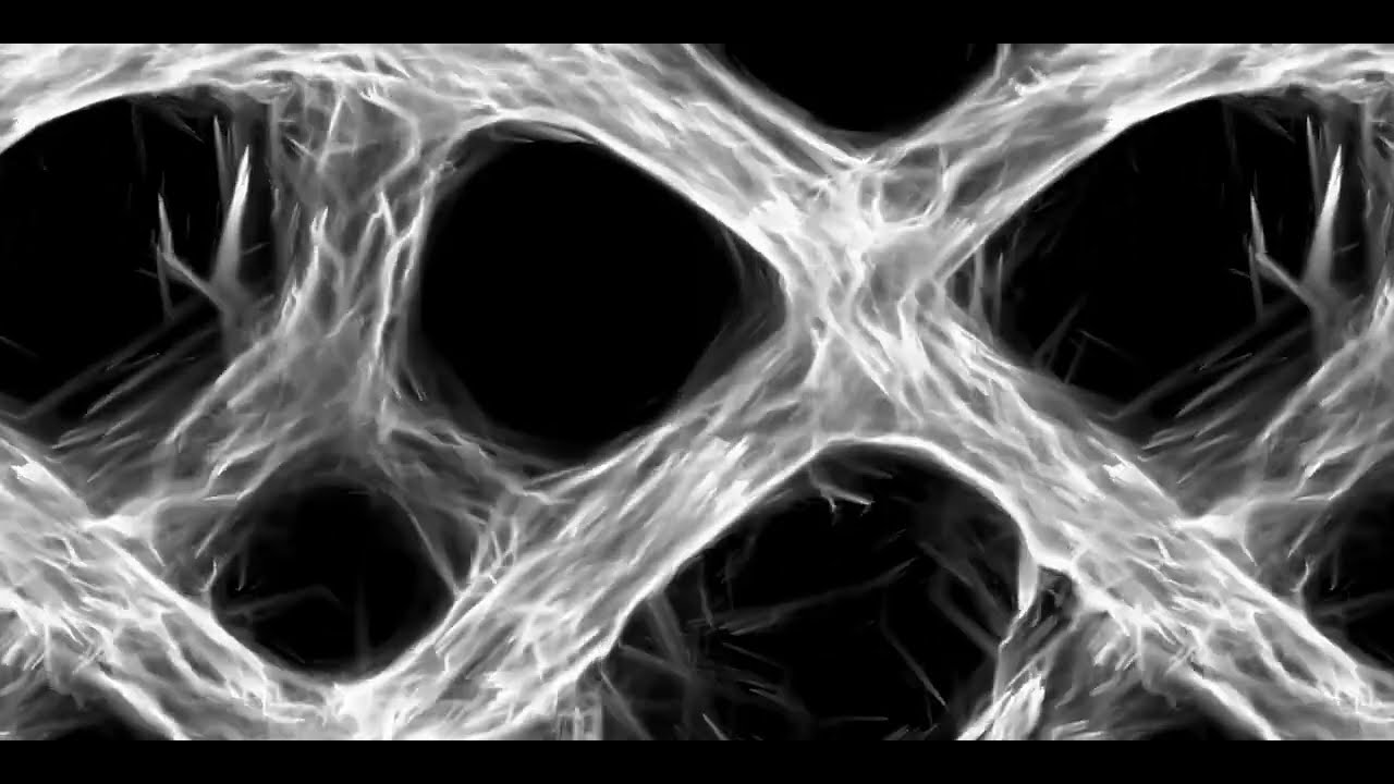 Bio-inspired modeling and simulation of living organisms