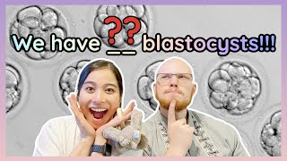 How many blastocysts made it to Day 5?! —Mini STIM IVF with ICSI. Ep.005