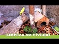 Limpeza no viveiro de aves exóticas | VIDA CAIPIRA