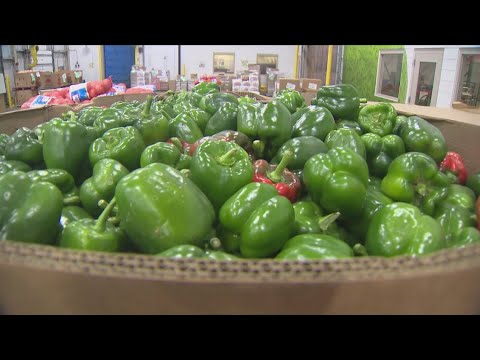 SNAP Benefits Run Out Saturday As Government Shutdown Continues