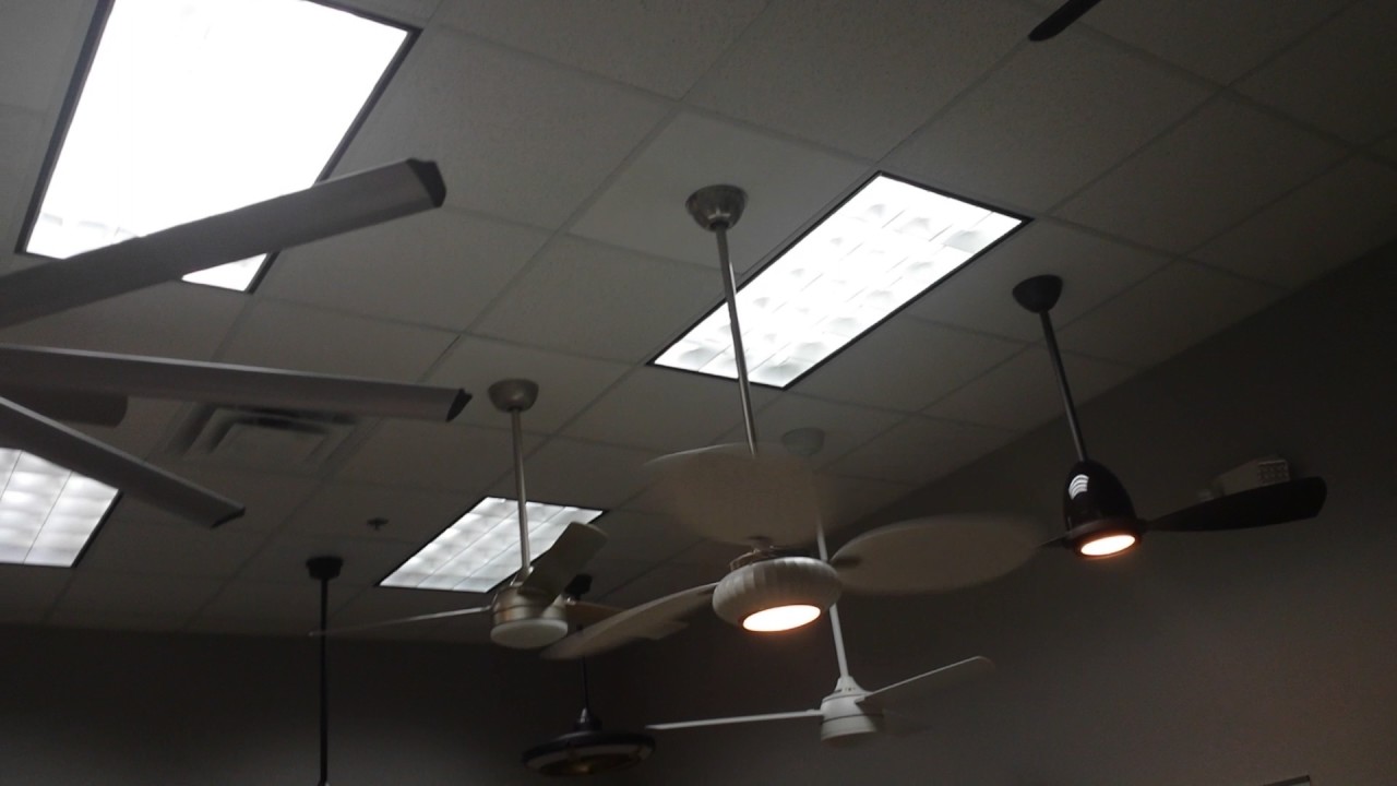 Fanimation Display Room Upstairs Boardroom Ceiling Fan Fanimation Display Room Upstairs Boardroom Ceiling Fan Demonstrations