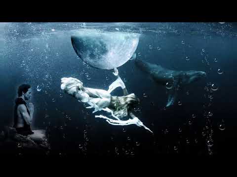 New Moon Meditation July 2019 🐋 (whales Meditation)