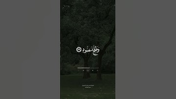 تلاوة عطرة للقارئ فهد واصل المطيري