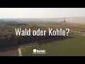 Wald oder Kohle