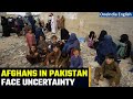 Afghans in Pakistan face uncertainty amid deportation plan | DW |  Oneindia News