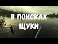 В Поисках Щуки | Рыбалка на Реке Воронеж в Липецке