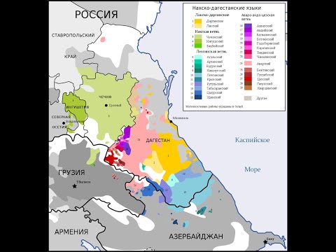 Нахско-дагестанские языки