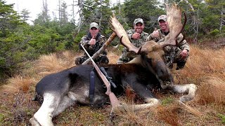 Mathieu's Newfoundland Moose Hunt