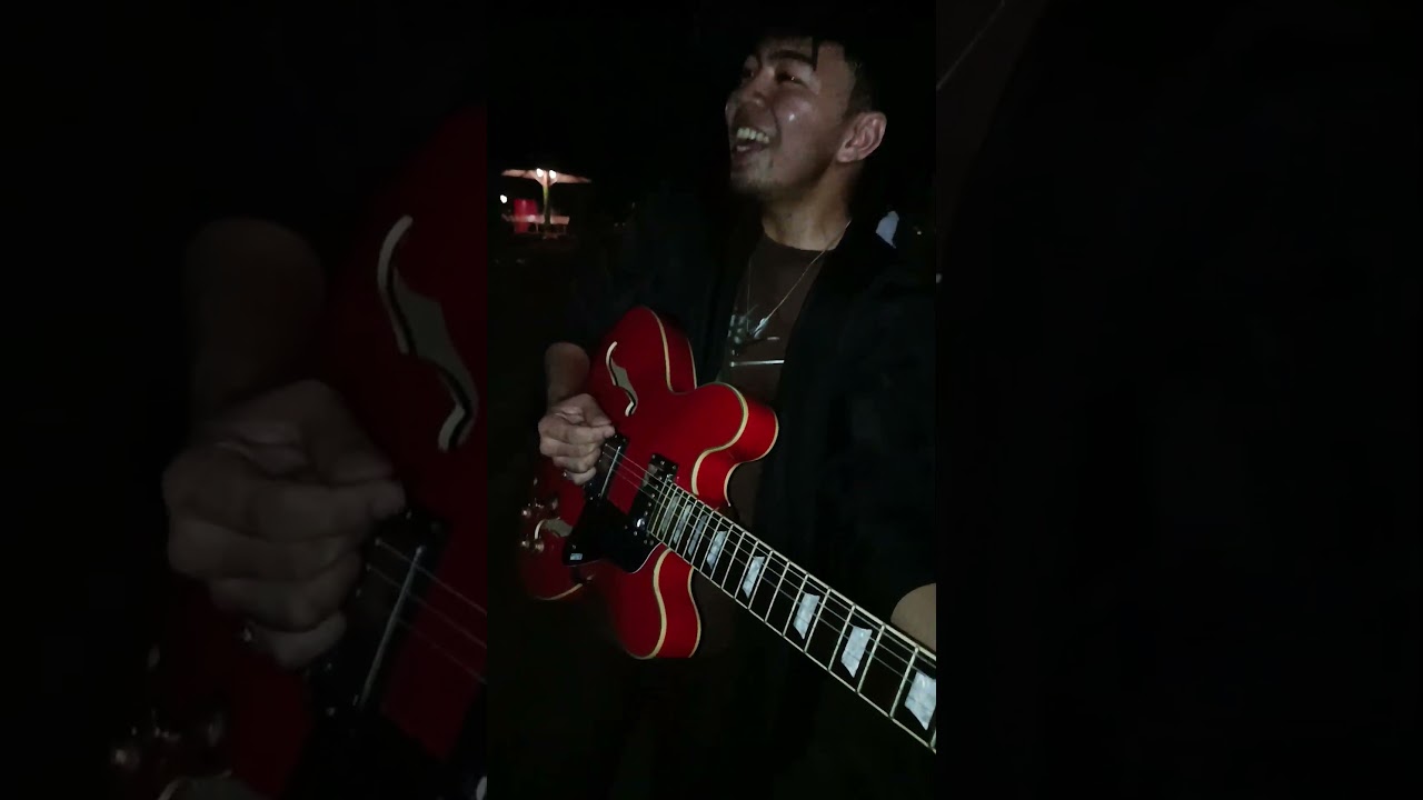 Рифф из "Дома с растениями против зомби"! 🎸🤣🧟‍♂️🔥