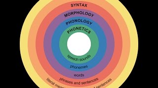 16 NORRIS ET AL  2003 Perceptual learning in speech