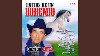 Me Sacaron del Tenampa