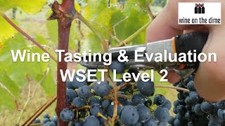 Wine and Spirit Education Trust (WSET) Level 2 Quiz  Wine Tasting & Evaluation