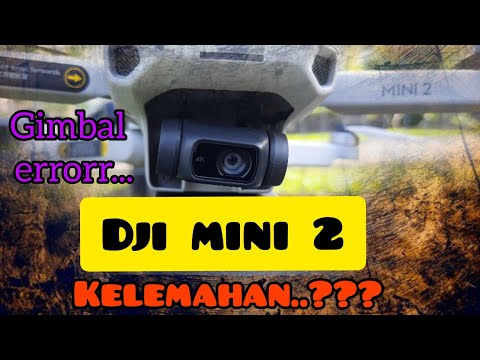 Video: Helikopter Keibubapaan: Apa Itu Dan Kebaikan Dan Kekurangannya