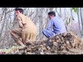 Buner vines new 2019govt tex of pakistan