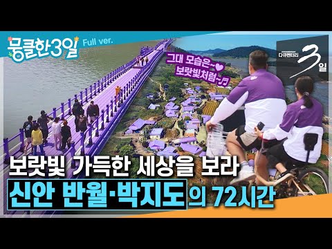 [다큐3일⭑Full] &amp;#39;보랏빛 향기&amp;#39;가 넘실대는 곳 💜 보랏빛 반전을 꿈꾸는 &amp;#39;퍼플 섬&amp;#39; 주민들의 <strong>네버</strong> 엔딩 스토리 💟 ‘신안 반월·박지도&amp;#39;의
