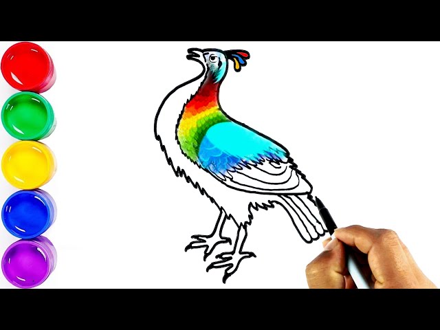 Drawing National Bird of Nepal || Draw a Himalayan Monal || Lophophorus Bird || डाँफे class=
