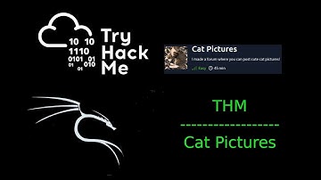 THM walkthorugh: Cat Pictures / Applying methodology