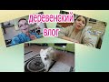 Любимый самоед /возвращаемся к жизни после ковидлы/ как протекала болезнь