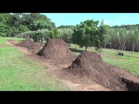 bmx trails cairns