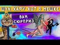 Герои 5 - ЭПИЧНЫЕ БИТВЫ: СЮРПРИЗ ДЛЯ ГНОМА! Лига теней vs Северные кланы(Ингвар)