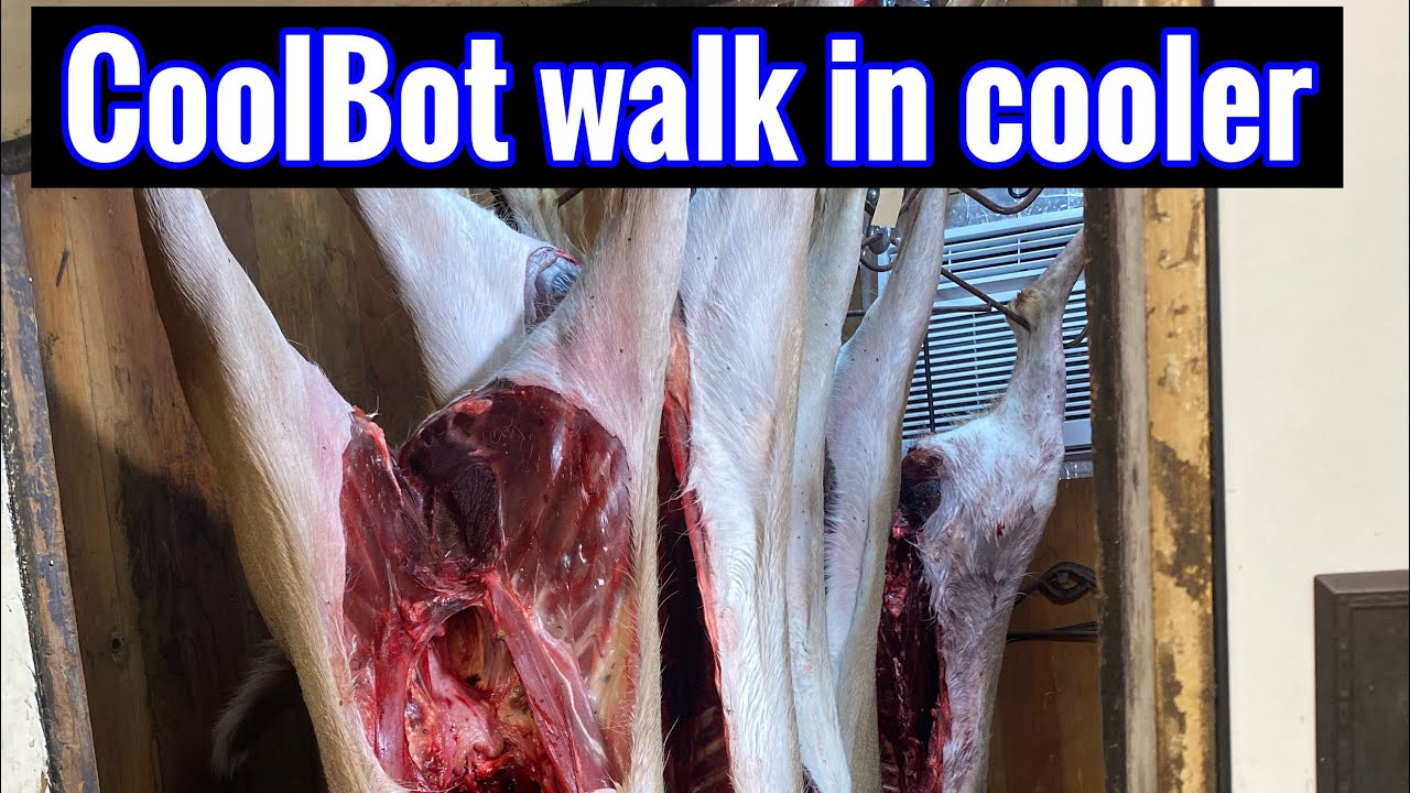 CoolBot Walk In Cooler For Deer Processing YouTube coolbot-walk-in-cooler-for-deer-processing-youtube