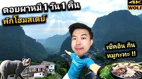 เที่ยวดอยผาหมี พักโฮมสเตย์กลางหุบเขา เช็คอินรับหมูกระทะ ที่พักอย่างชิลล์ WOLF VLOG