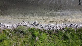 Drone Footage - Discovery Park, WA