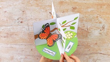 3D Butterfly Life Cycle Paper Craft