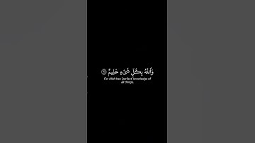أذكر الله | سورة النور الأية ٣٥-٣٧ القارئ محمد اللحيدان #quran #اكسبلور