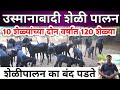 उस्मानाबादी शेळी पालन/10 शेळ्यांच्या 2 वर्षात 120 शेळ्या/शेळीपालन का बंद पडते /Osmanabadi Goat Farm