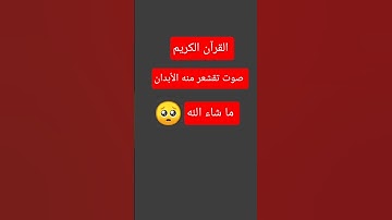 #أجمل_التلاوات #سعود_الشريم #اسلام_صبحي #رعد_الكردي #فارس_عباد#محمود_خليل_الحصري#سورة_الضحى