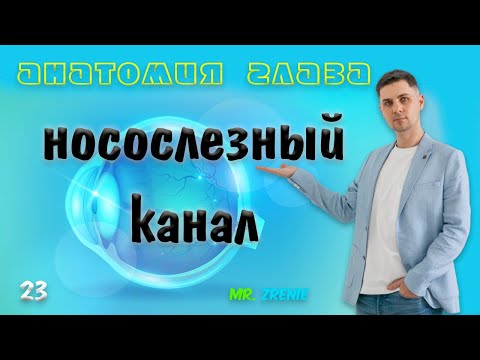 Носослезный канал | слезный канал анатомия и функции