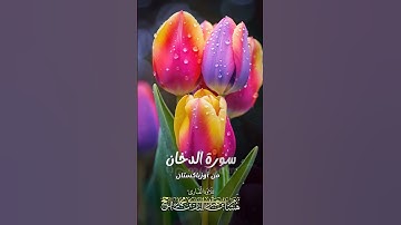 إن المتقين في مقام أمين || القارئ هشام عبد الباري