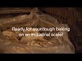 Ready for sourdough baking on an industrial scale?