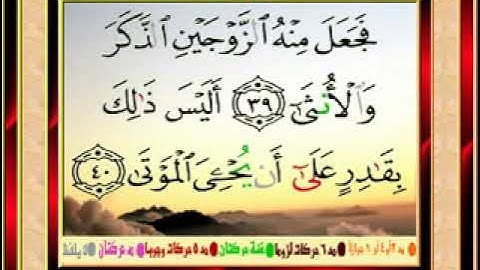 سورة القيامة للقارئ محمد البراك