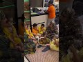 ام مكه وام سجده ام مكه وام سجده